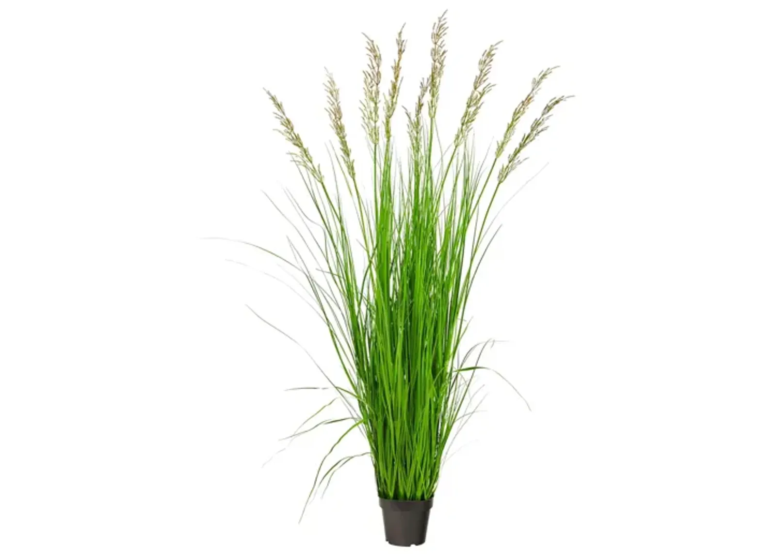 5.5ft. Plume Grass Artificial Plant in Green by Bellanest