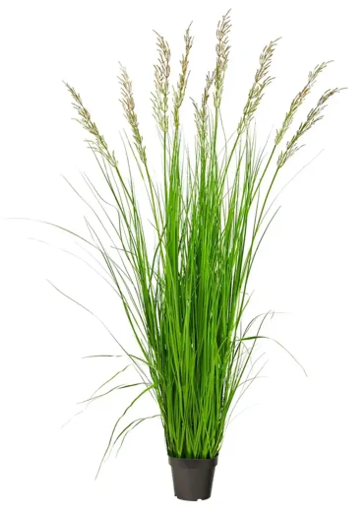 5.5ft. Plume Grass Artificial Plant in Green by Bellanest