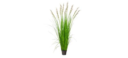 5.5ft. Plume Grass Artificial Plant in Green by Bellanest