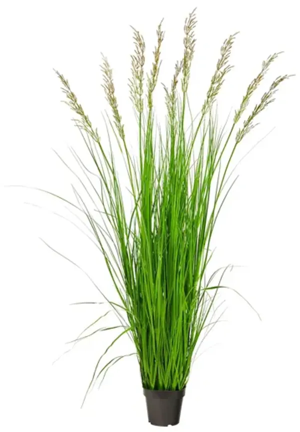 5.5ft. Plume Grass Artificial Plant