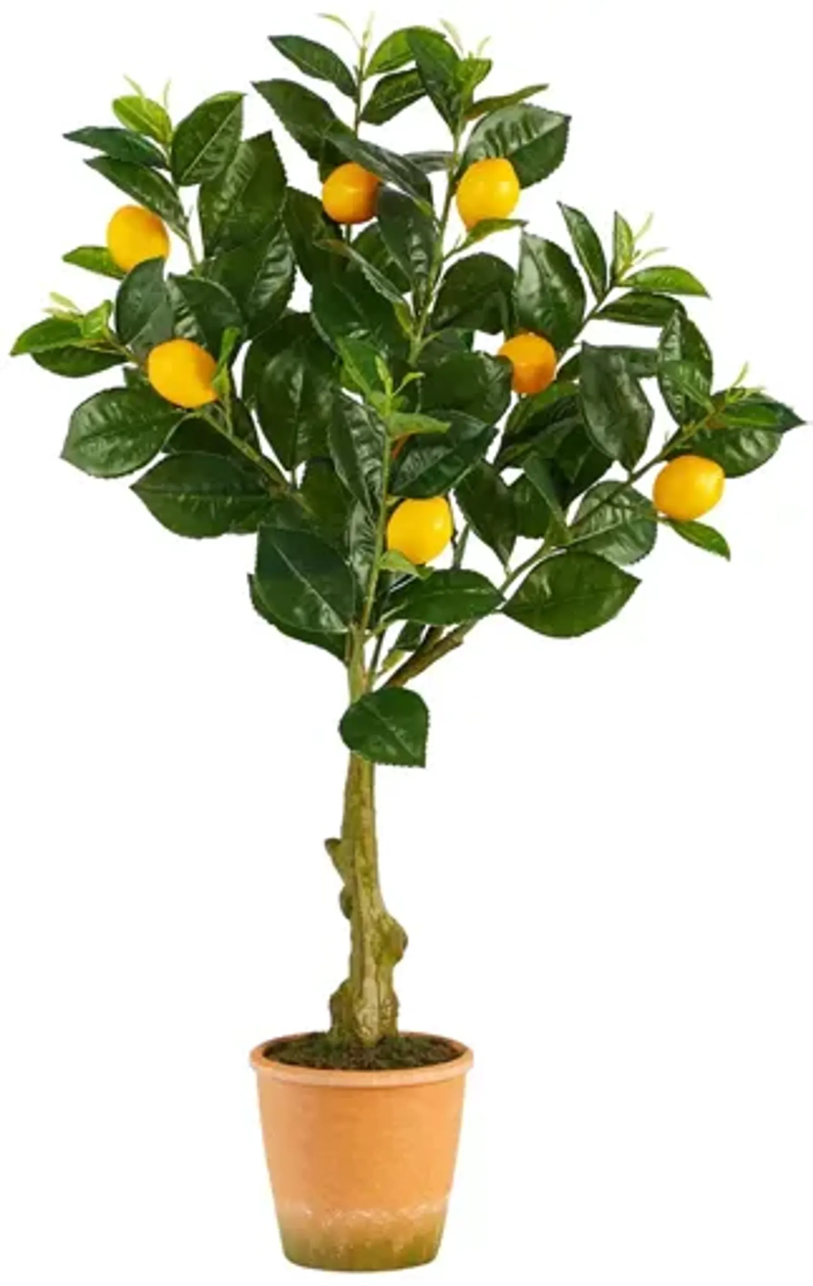 28in. Lemon Artificial Tree in Decorative Planter