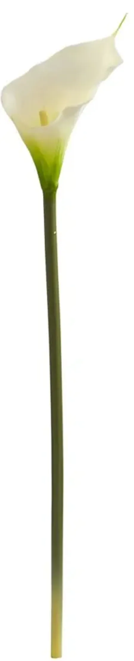 28in. Calla Lily Artificial Flower (Set of 12) in Cream by Bellanest
