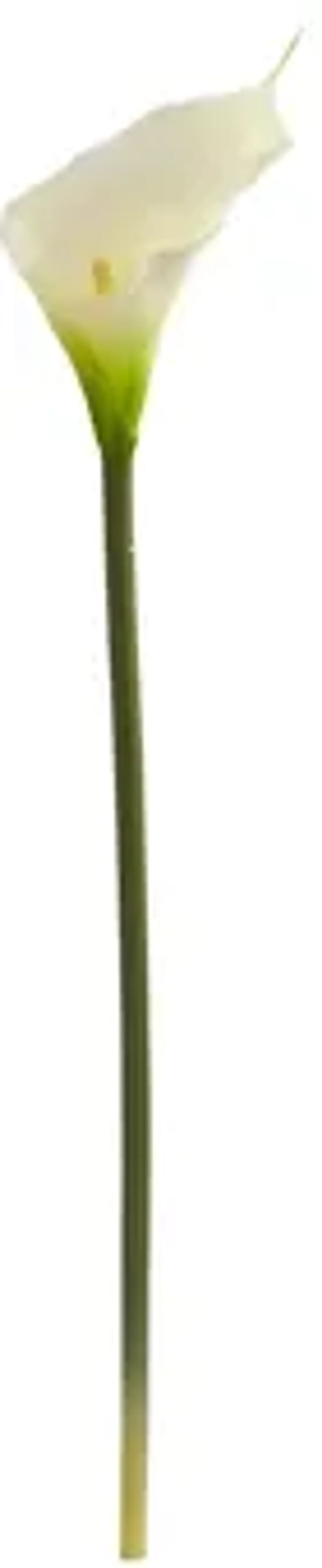 28in. Calla Lily Artificial Flower (Set of 12)