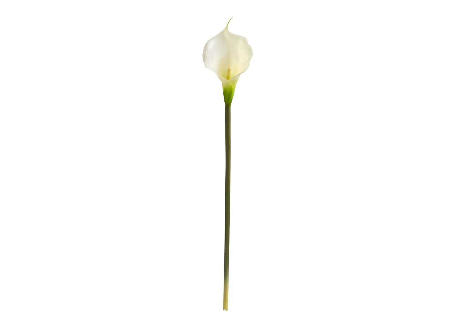 28in. Calla Lily Artificial Flower (Set of 12) in Cream by Bellanest