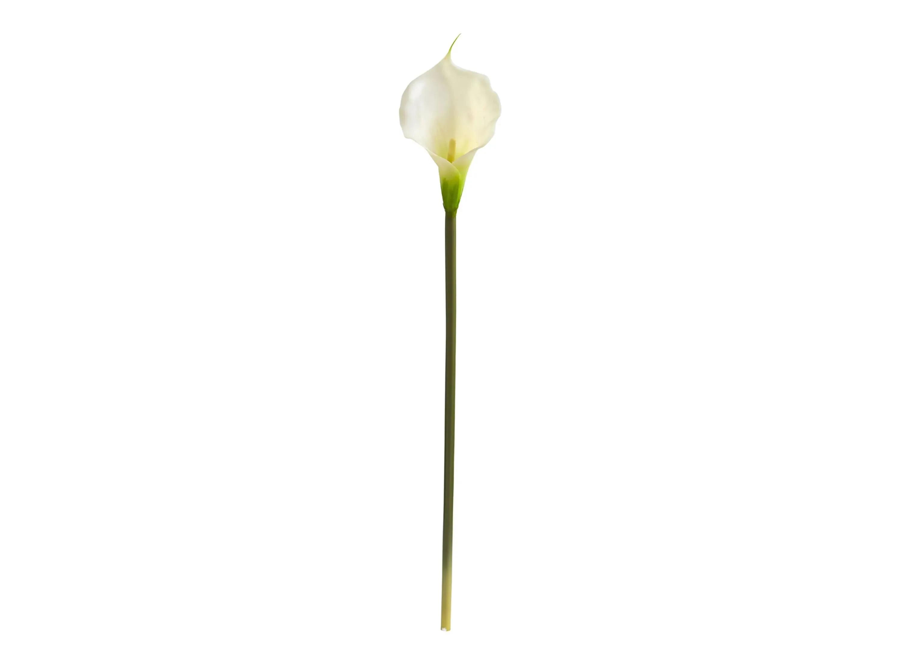 28in. Calla Lily Artificial Flower (Set of 12) in Cream by Bellanest