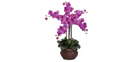 Phalaenopsis with Decorative Vase Silk Flower Arrangement in Orchid by Bellanest