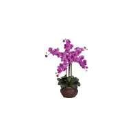 Phalaenopsis with Decorative Vase Silk Flower Arrangement in Orchid by Bellanest