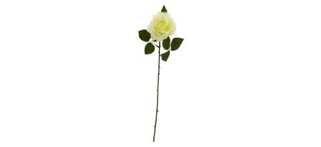 18in. Rose Artificial Flower (Set of 24) in White by Bellanest
