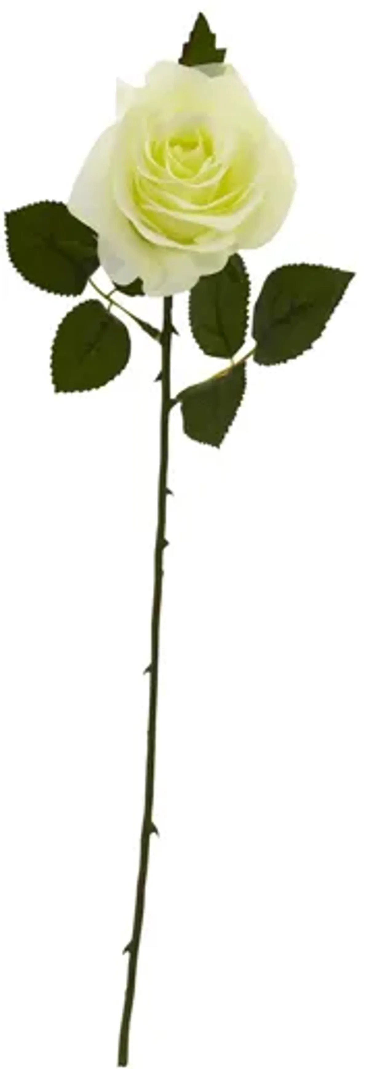 18in. Rose Artificial Flower (Set of 24)