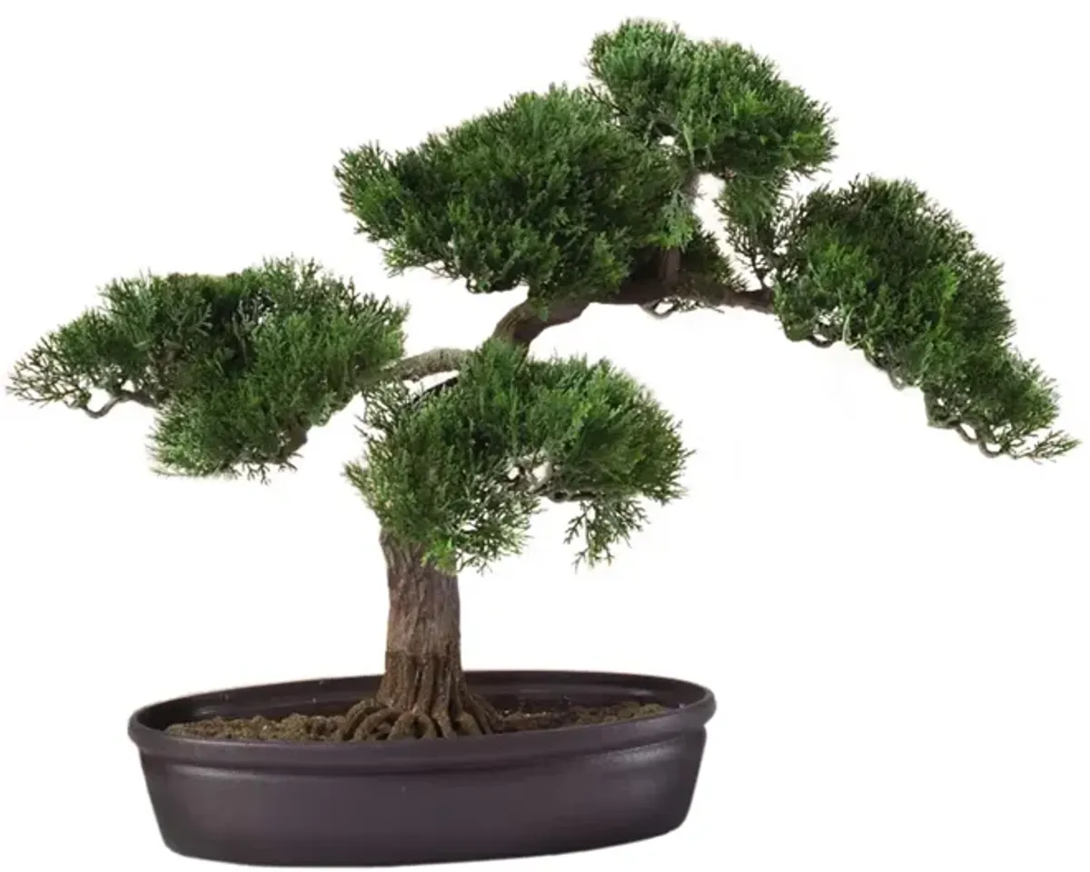 16in. Cedar Bonsai Silk Plant in Green by Bellanest