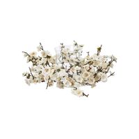 Plum Blossom Candelabrum in White by Bellanest
