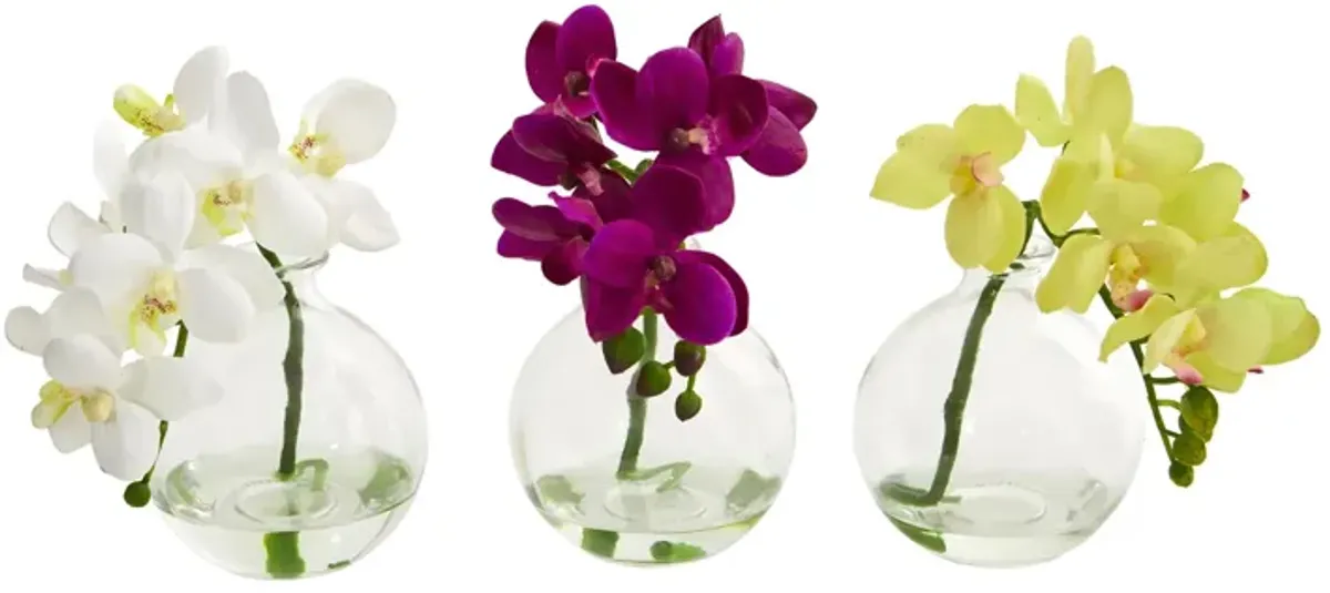 9in. Phalaenopsis Orchid Artificial Arrangement in Vase (Set of 3)