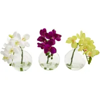 9in. Phalaenopsis Orchid Artificial Arrangement in Vase (Set of 3) in Multicolor by Bellanest