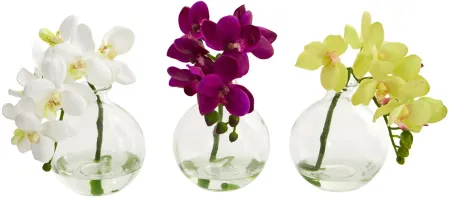 9in. Phalaenopsis Orchid Artificial Arrangement in Vase (Set of 3) in Multicolor by Bellanest