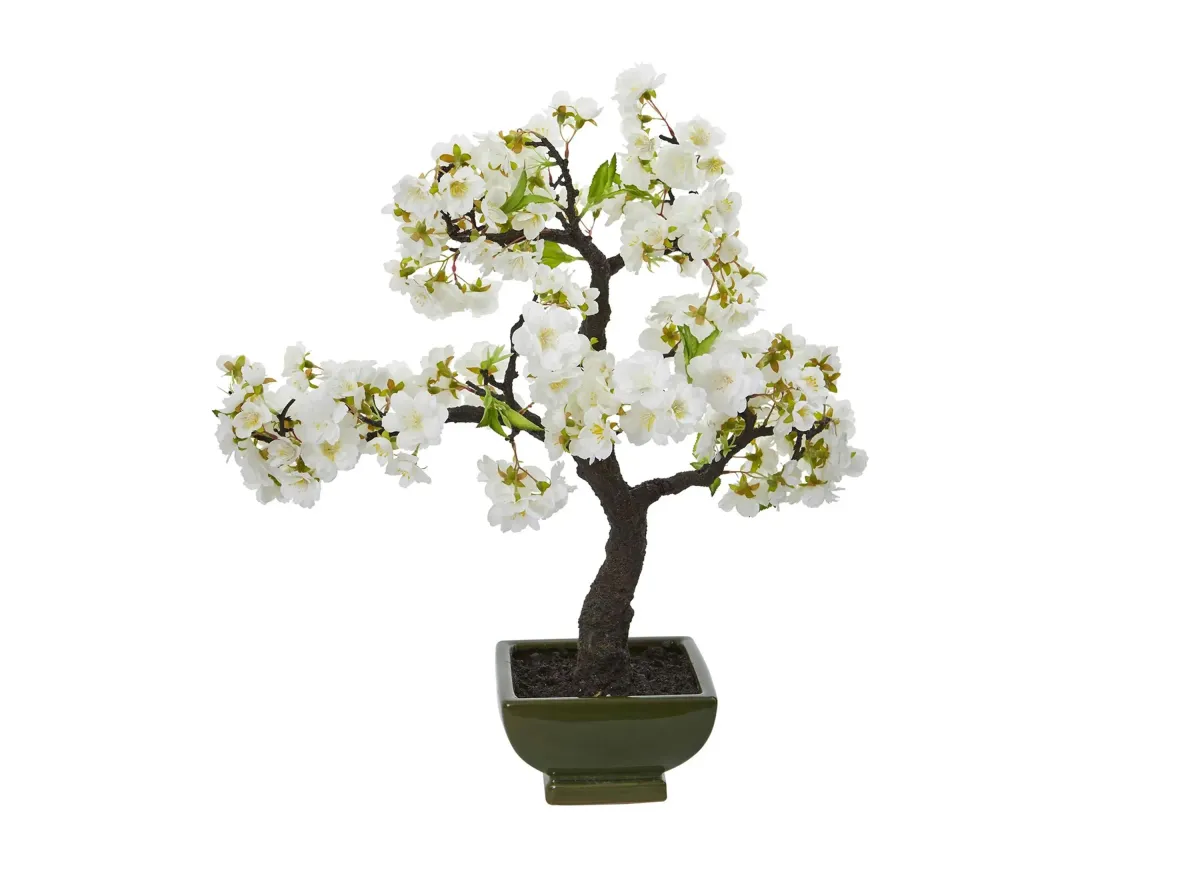 Cherry Blossom Bonsai Artificial Tree in White by Bellanest