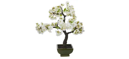 Cherry Blossom Bonsai Artificial Tree in White by Bellanest