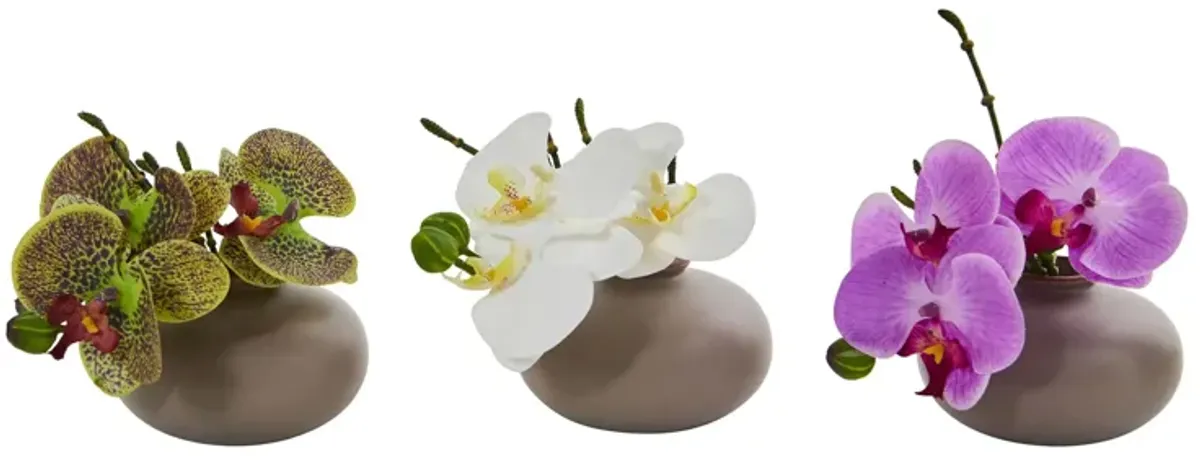 7in. Phalaenopsis Orchid Artificial Arrangement, Set of 3 in Multicolor by Bellanest