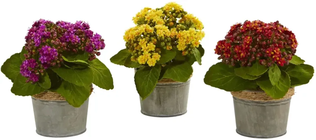 Kalanchoe Artificial Arrangements (Set of 3)