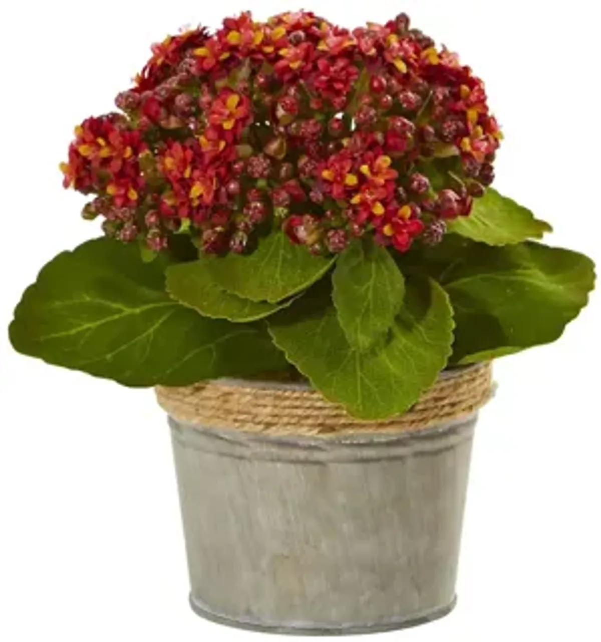 Kalanchoe Artificial Arrangements (Set of 3)