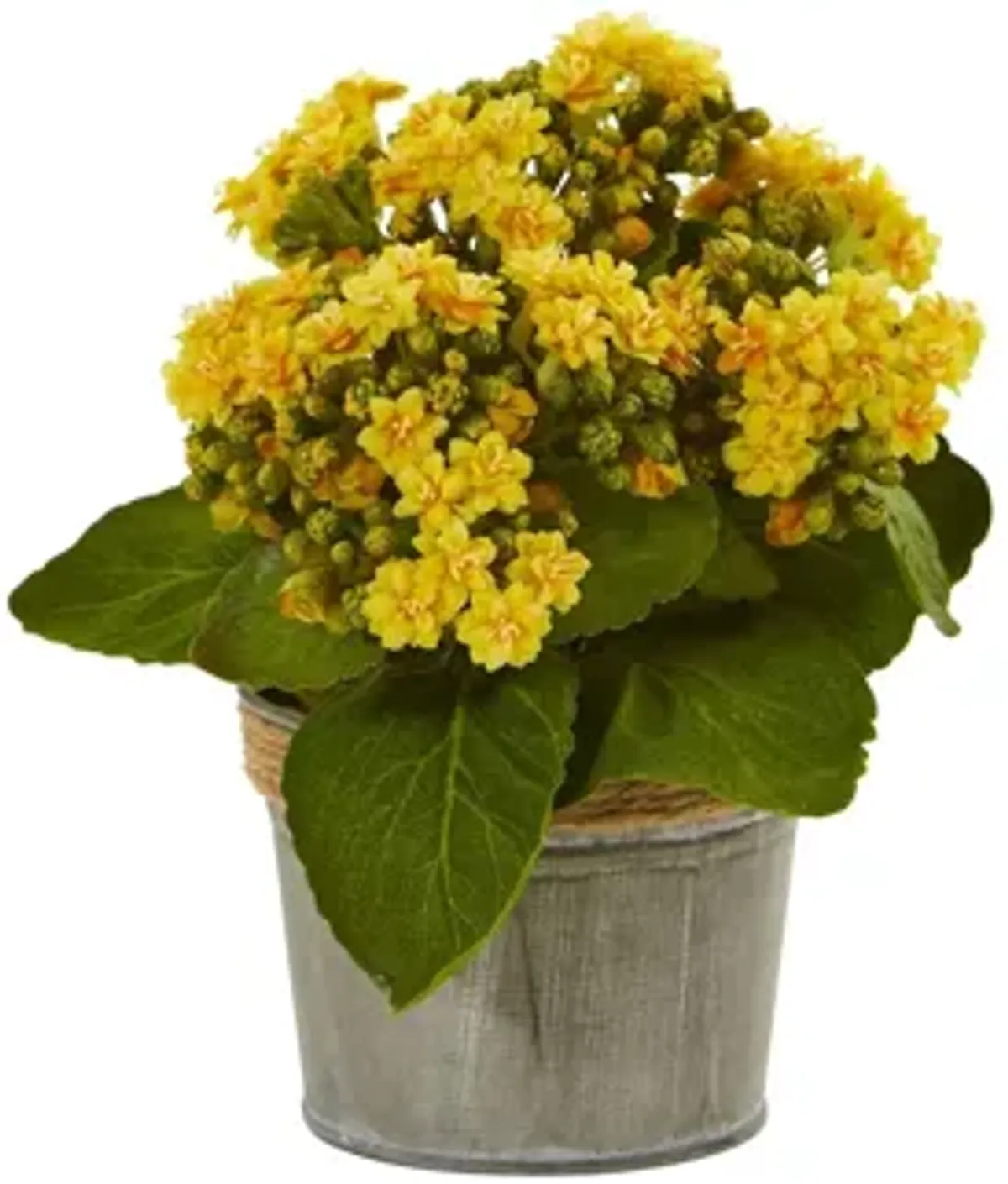 Kalanchoe Artificial Arrangements (Set of 3)