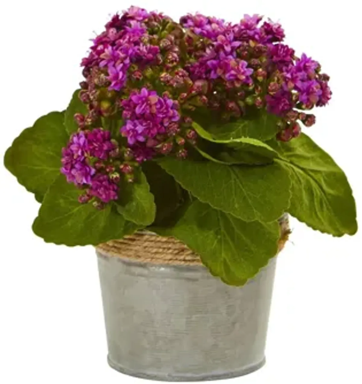 Kalanchoe Artificial Arrangements (Set of 3)