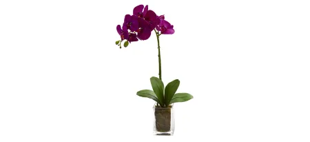 24in. Orchid Phalaenopsis Artificial Arrangement in Vase in Mauve by Bellanest