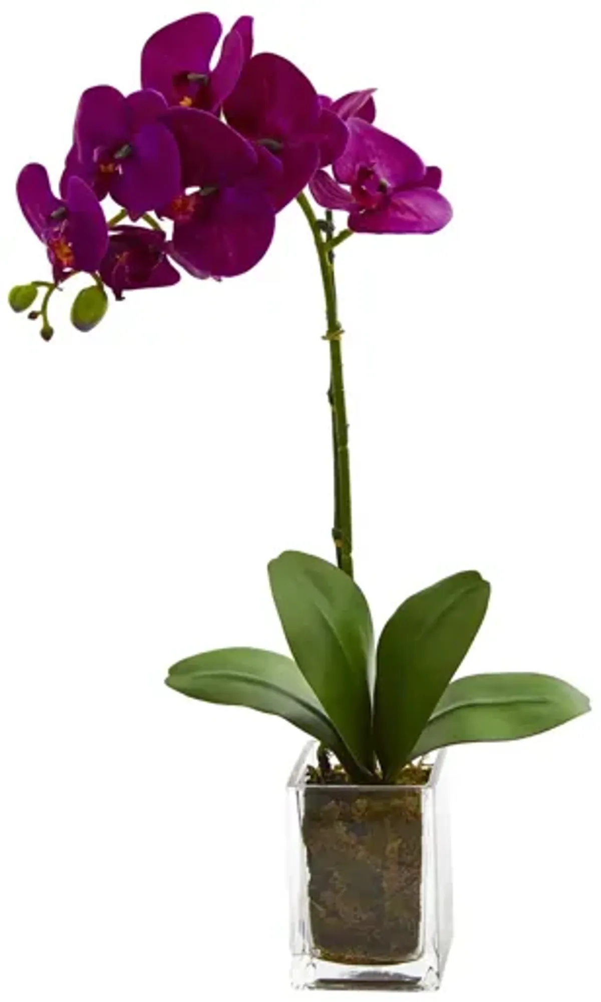 24in. Orchid Phalaenopsis Artificial Arrangement in Vase
