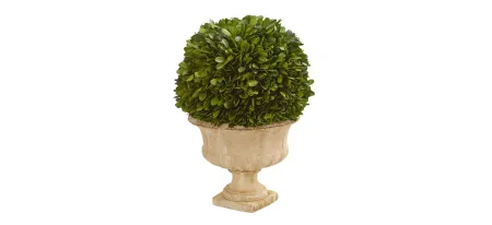 12in. Boxwood Topiary Ball Preserved Plant in Decorative Urn in Green by Bellanest