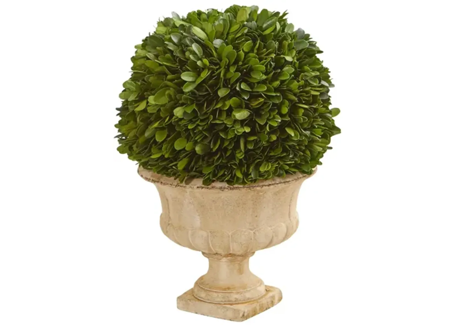 12in. Boxwood Topiary Ball Preserved Plant in Decorative Urn in Green by Bellanest