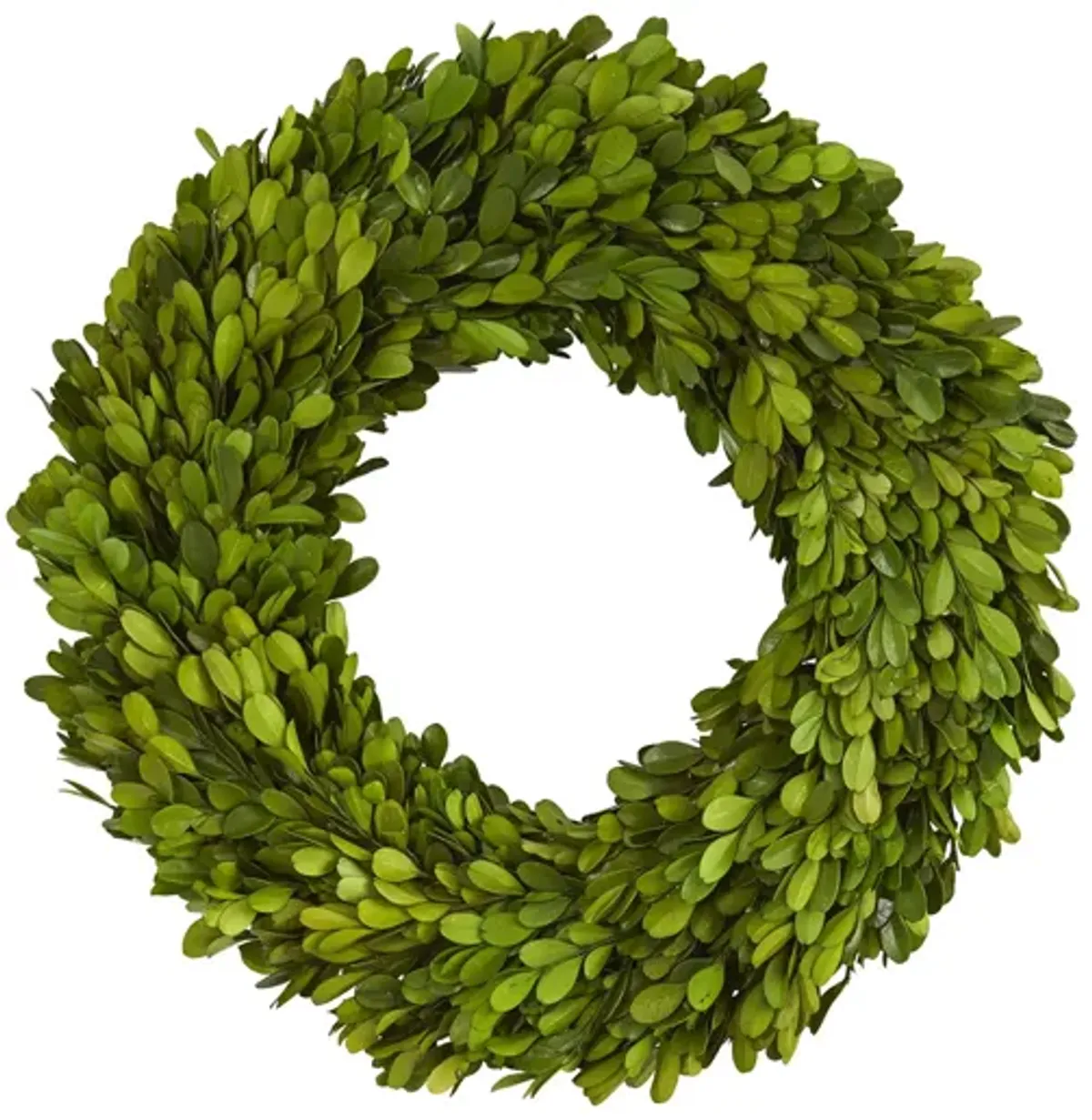 14in. Preserved Boxwood Wreath in Green by Bellanest