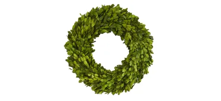 14in. Preserved Boxwood Wreath in Green by Bellanest