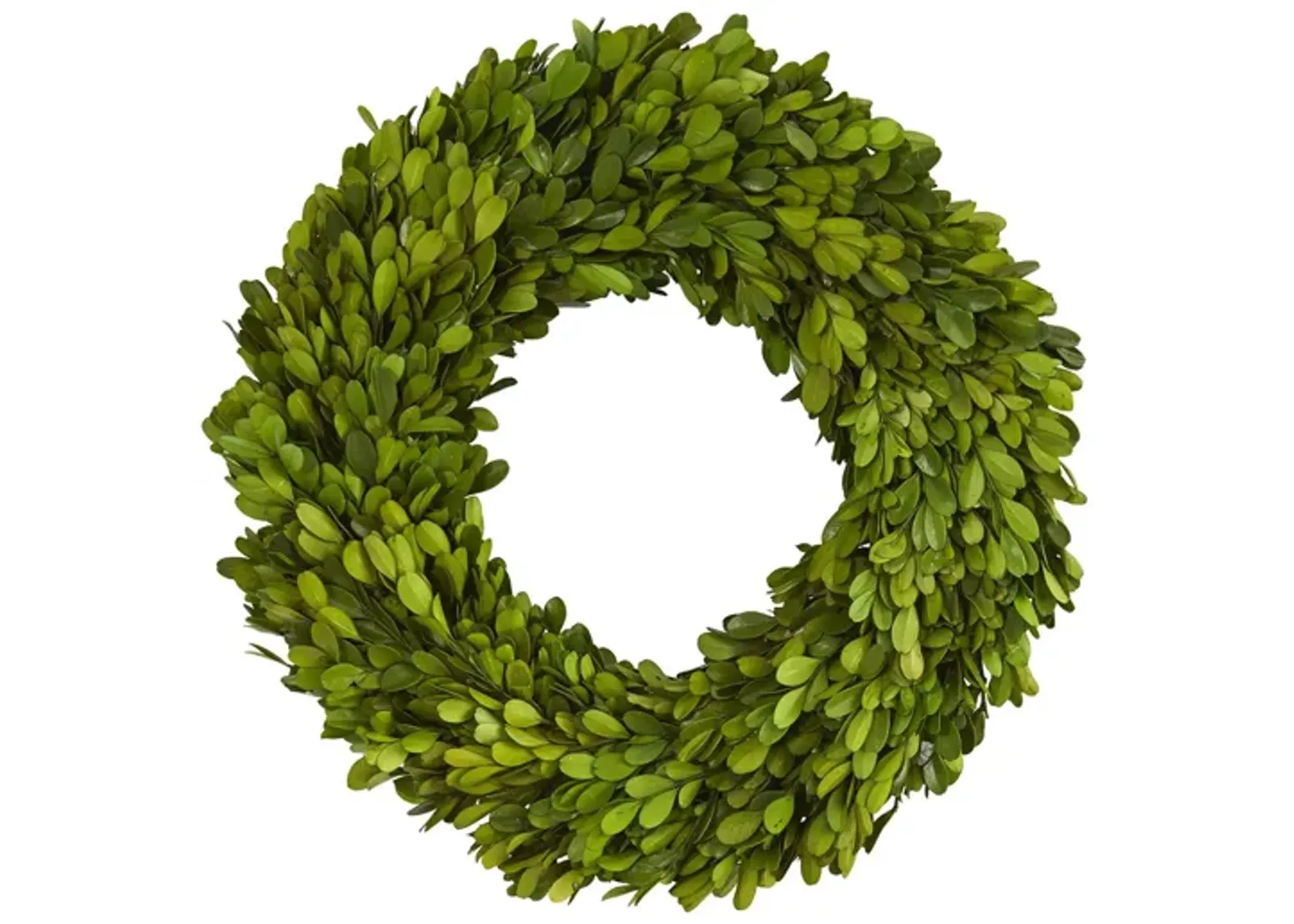 14in. Preserved Boxwood Wreath in Green by Bellanest