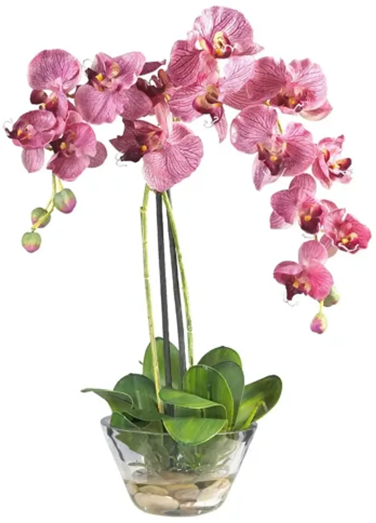 Phalaenopsis with Glass Vase Silk Flower Arrangement in Purple by Bellanest