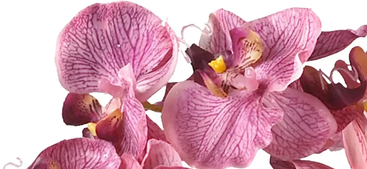 Phalaenopsis with Glass Vase Silk Flower Arrangement