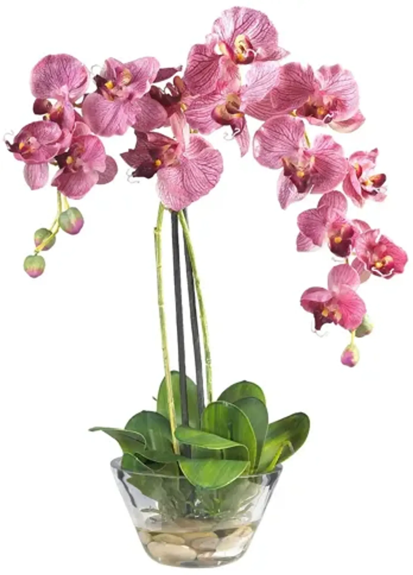 Phalaenopsis with Glass Vase Silk Flower Arrangement