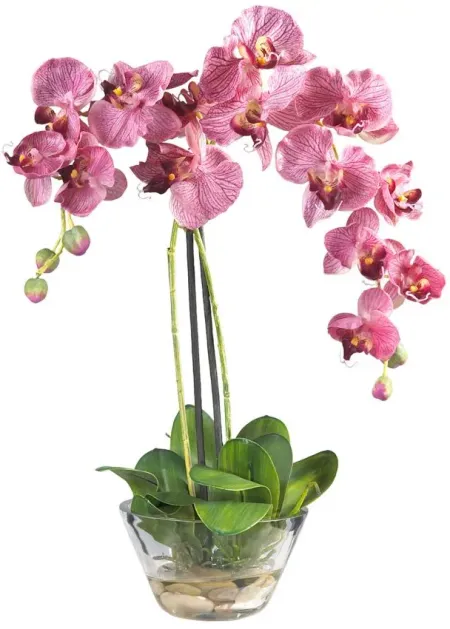 Phalaenopsis with Glass Vase Silk Flower Arrangement in Purple by Bellanest