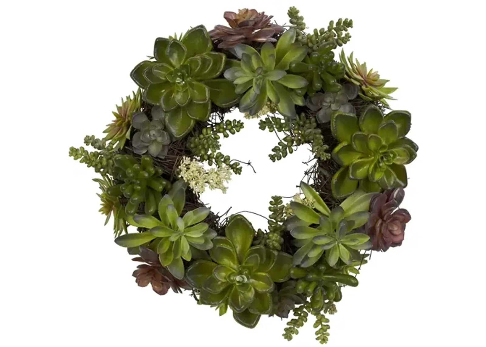 20in. Succulent Wreath in Green by Bellanest