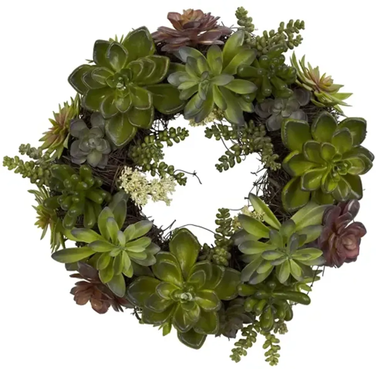 20in. Succulent Wreath in Green by Bellanest