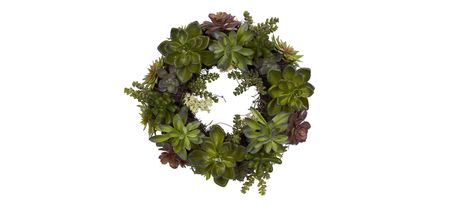 20in. Succulent Wreath in Green by Bellanest
