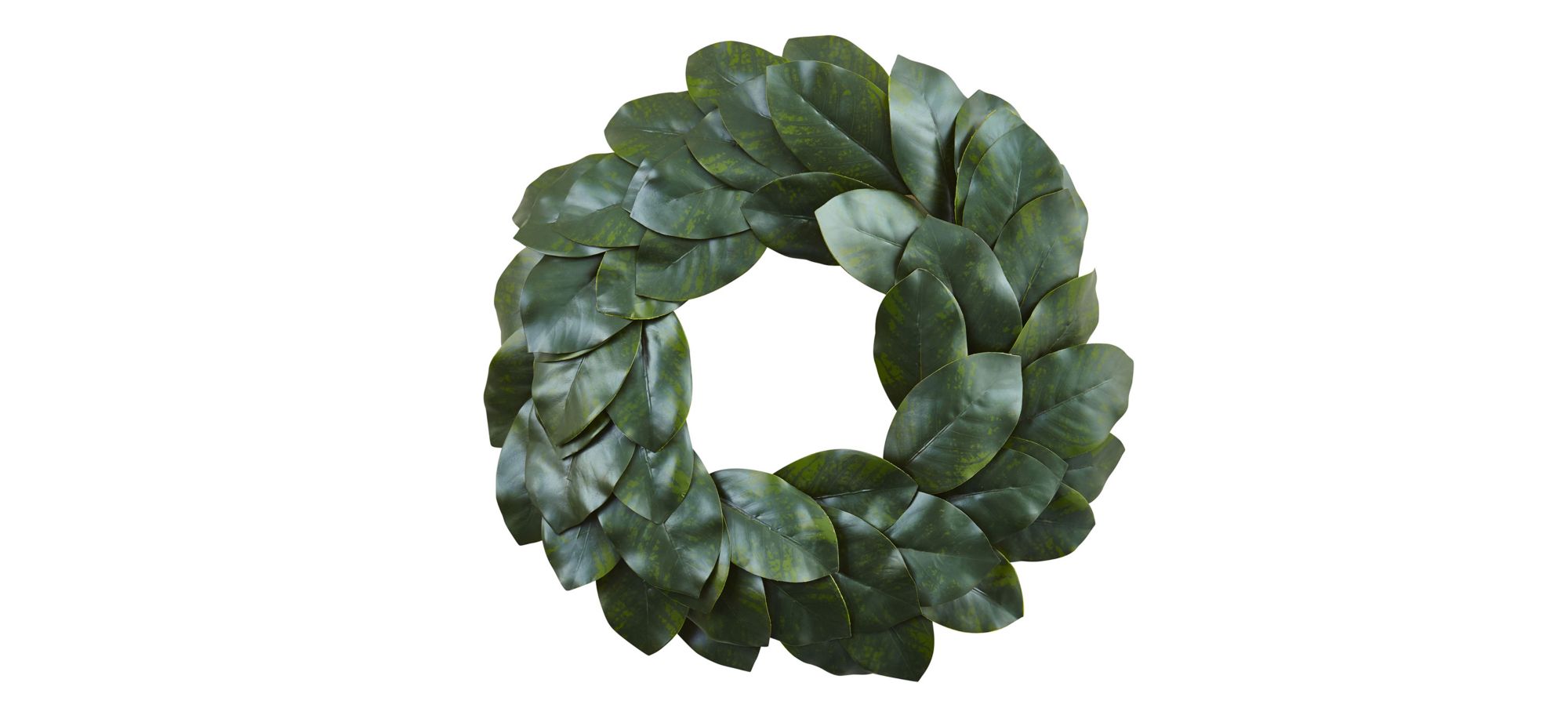 24in. Magnolia Leaf Wreath in Green by Bellanest