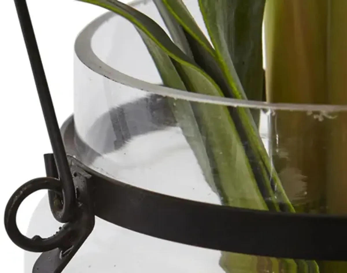 24in. Amaryllis with Vase