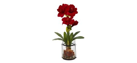 24in. Amaryllis with Vase in Red by Bellanest