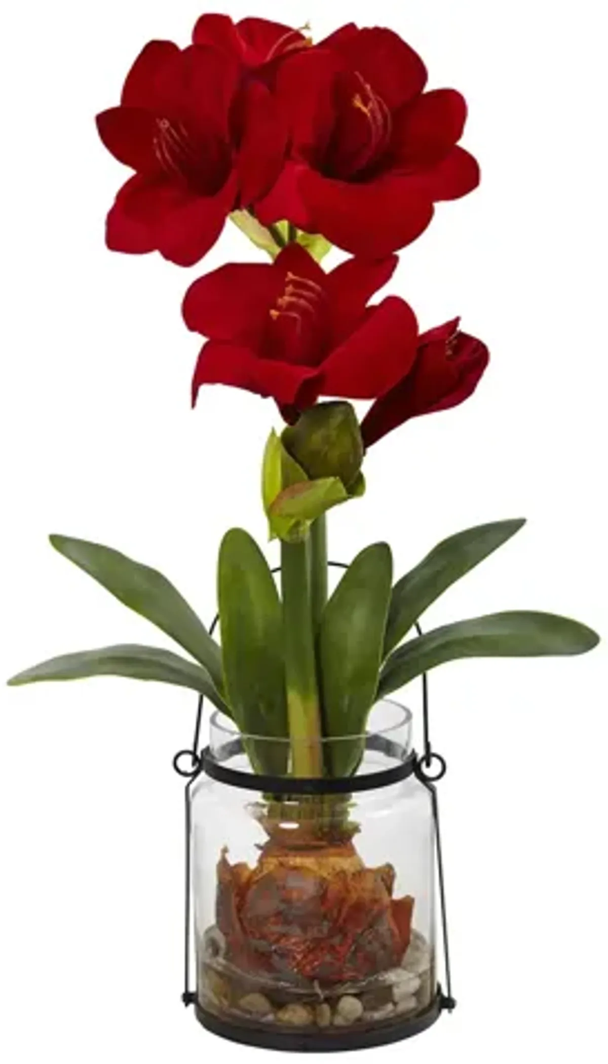 24in. Amaryllis with Vase