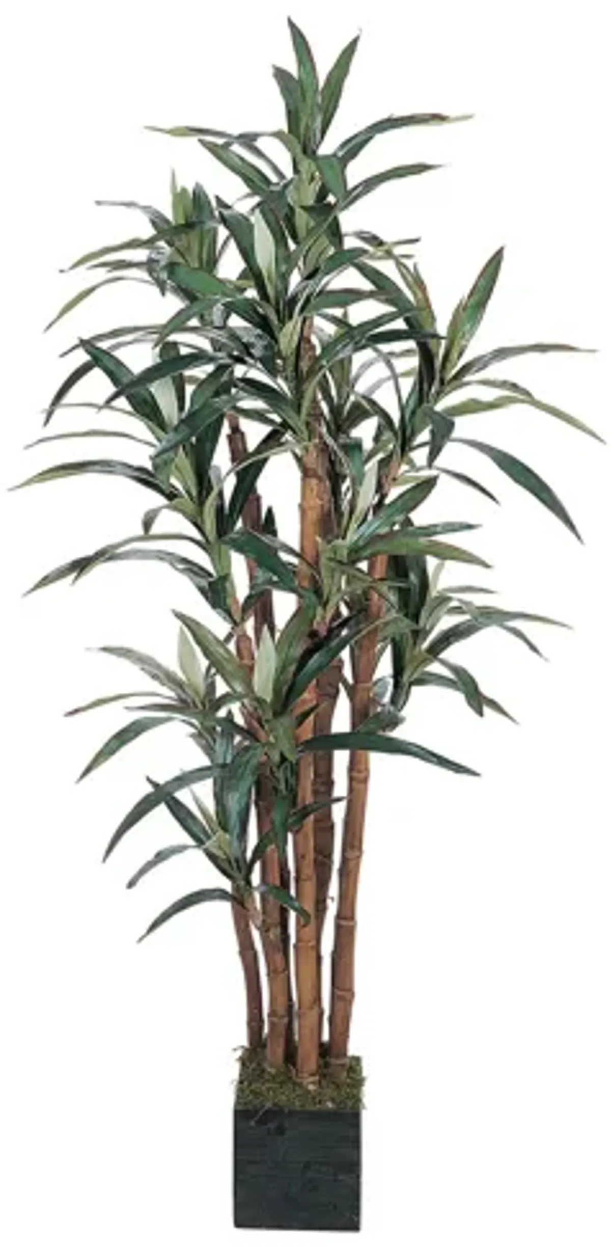 5ft. Yucca Silk Tree in Green by Bellanest