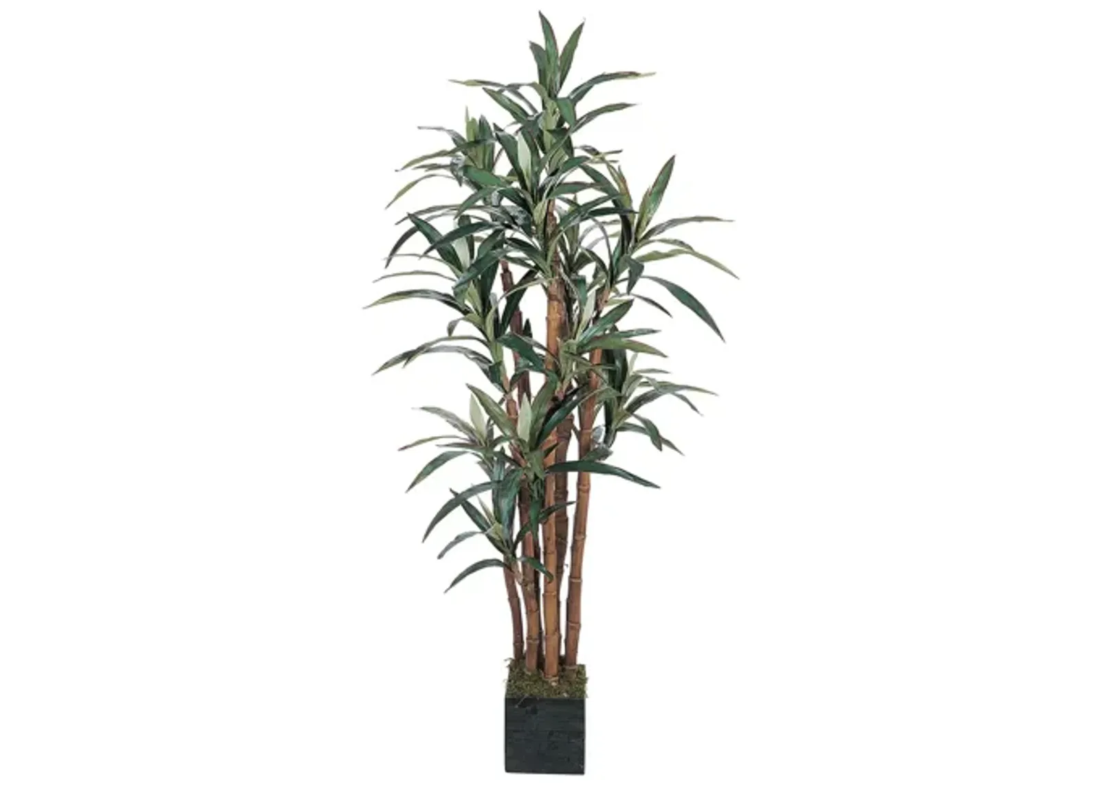 5ft. Yucca Silk Tree in Green by Bellanest