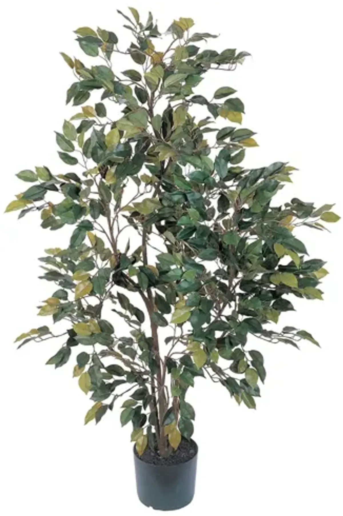 4ft. Ficus Silk Tree in Green by Bellanest