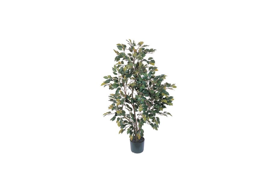 4ft. Ficus Silk Tree in Green by Bellanest