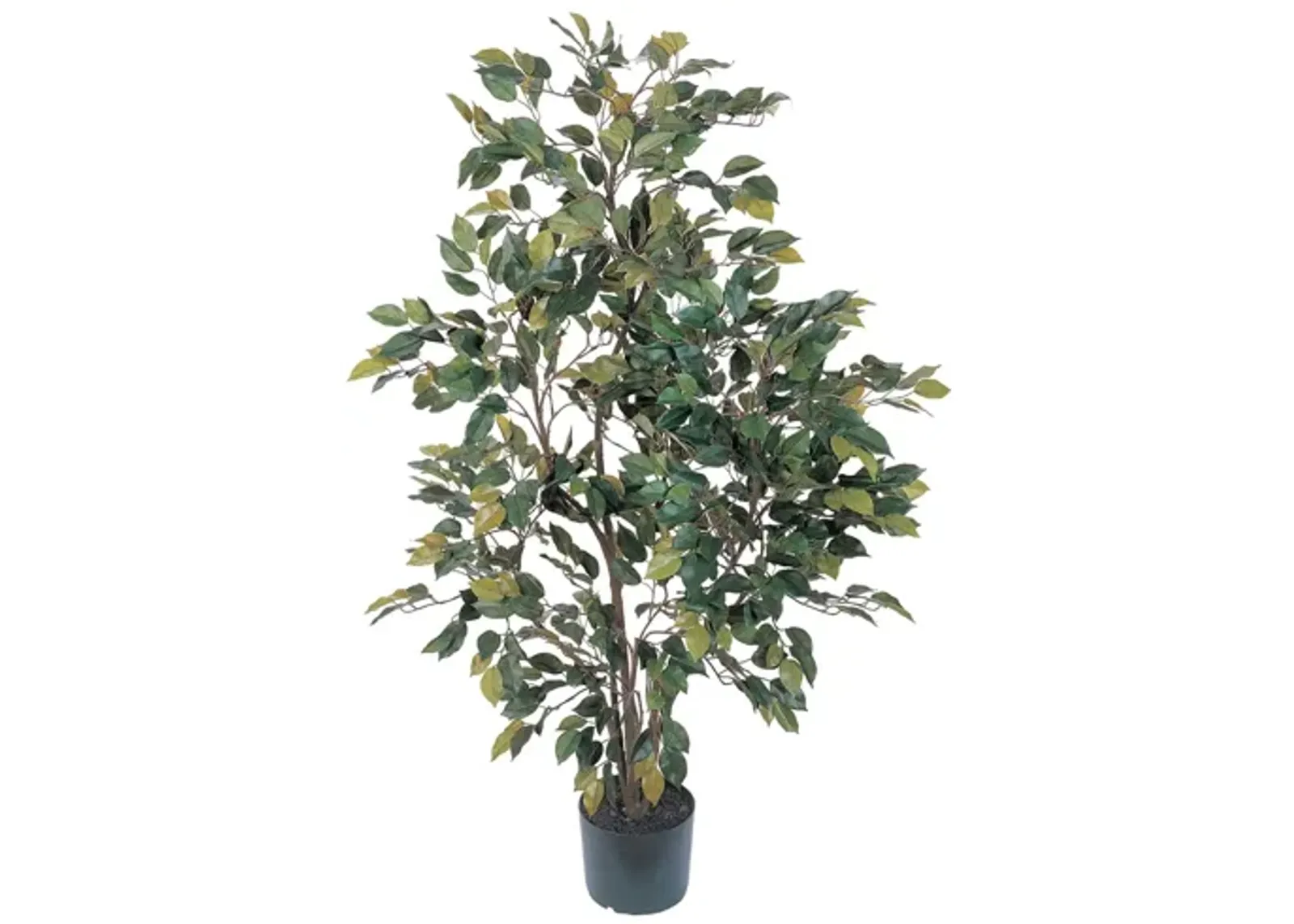 4ft. Ficus Silk Tree in Green by Bellanest