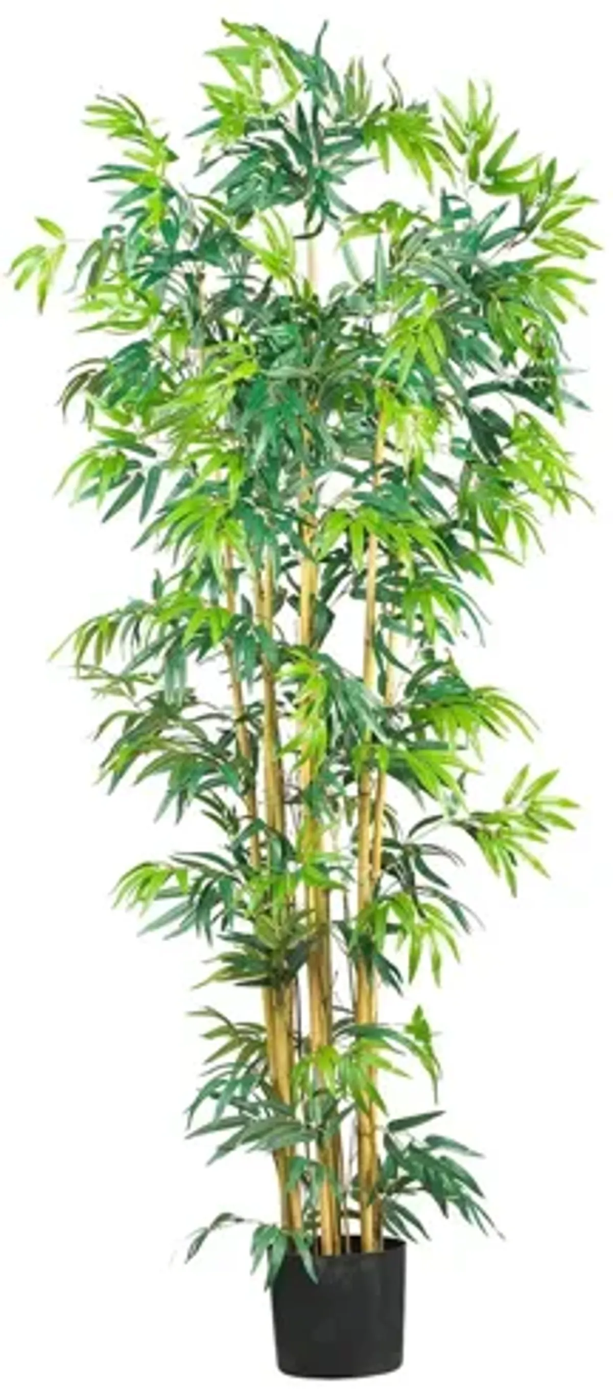 6ft. Bambusa Bamboo Silk Tree in Green by Bellanest