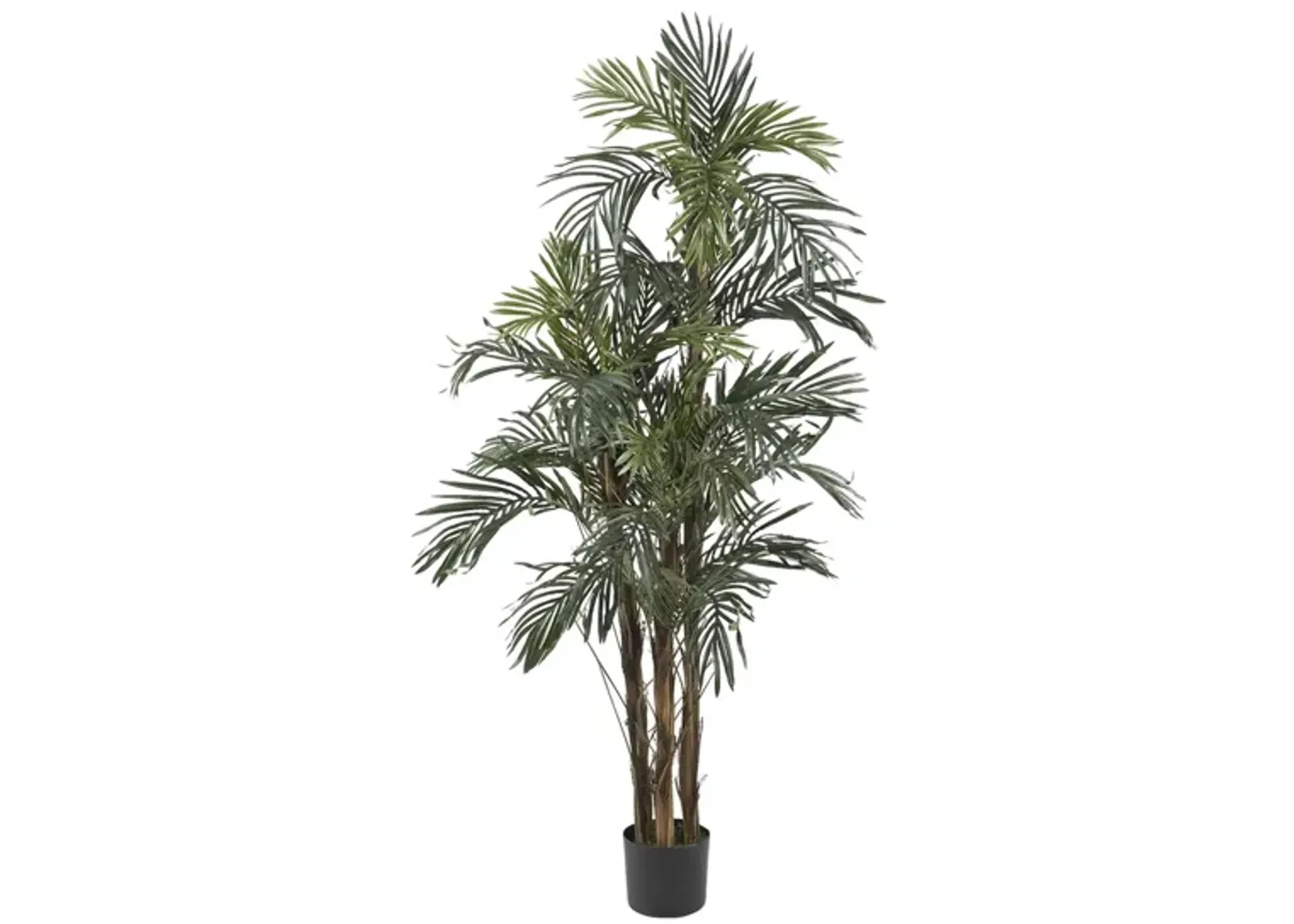 5ft. Robellini Palm Silk Tree in Green by Bellanest